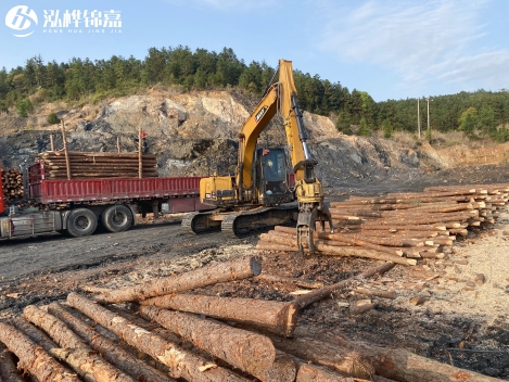 松木樁批發價格是多少？