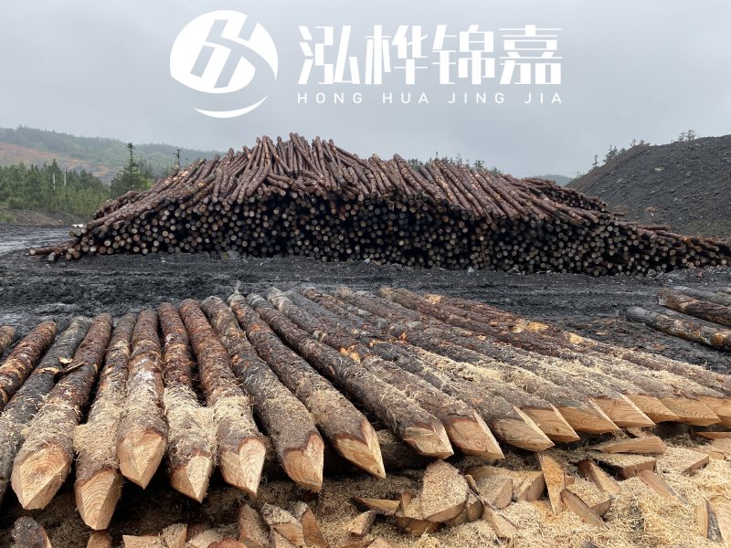 6米長松木樁有哪些作用，多少錢一根？