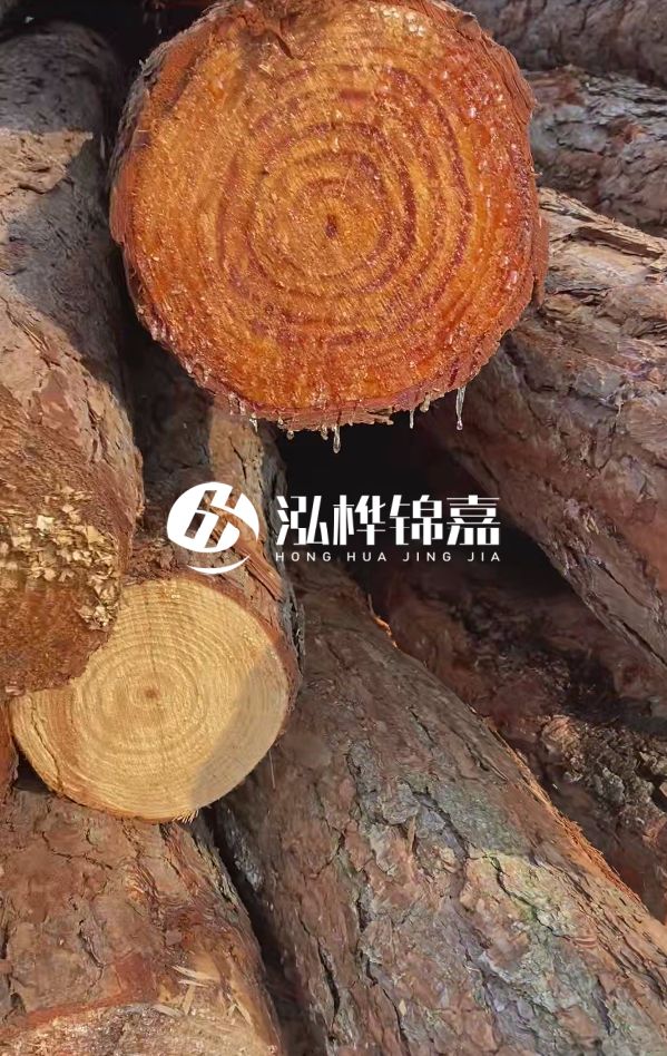 赤峰挖機打木樁專業施工-河道狹窄處挖機打木樁方法?