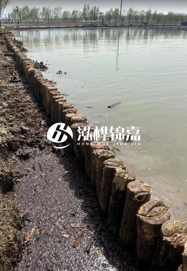 大渡口河道打松木樁施工-護坡木樁哪里有的買?