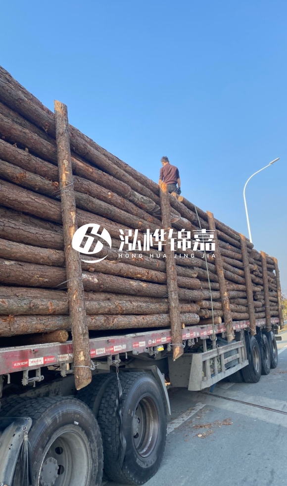 煙臺挖機打木樁專業施工-打防汛木樁后如何進行加固?