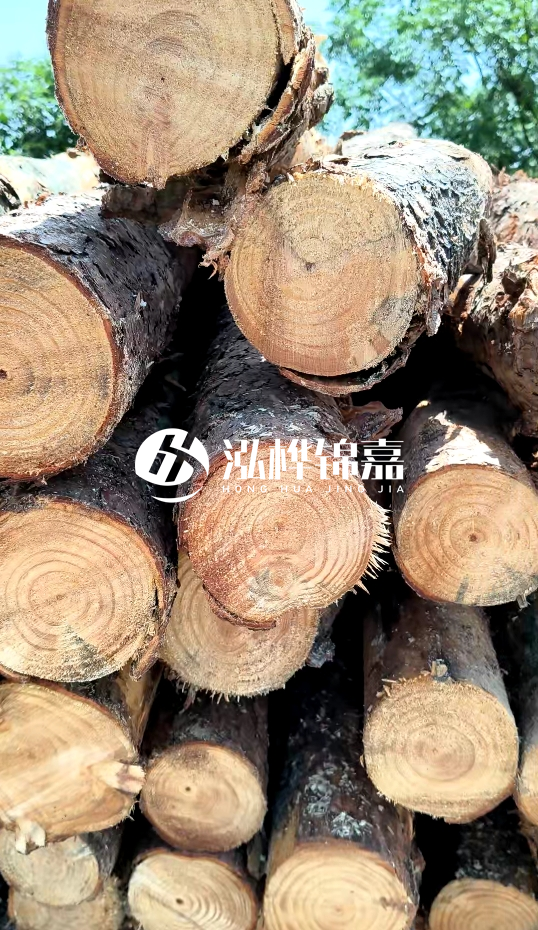 周口挖機打木樁專業(yè)施工-杉木樁施工打樁怎么打?