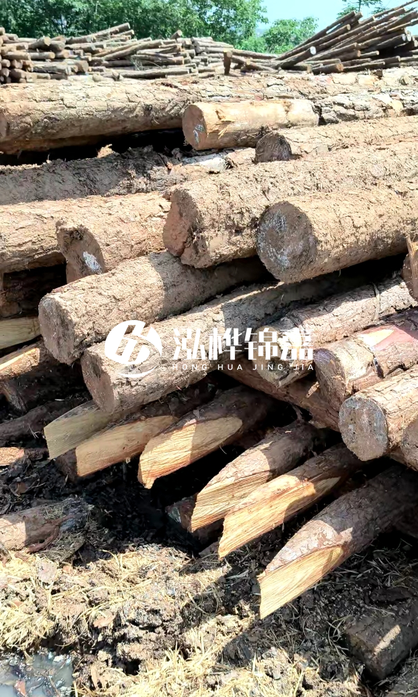 荊門挖機打木樁專業(yè)施工-河道打木樁前是否要清理河道底部雜物?