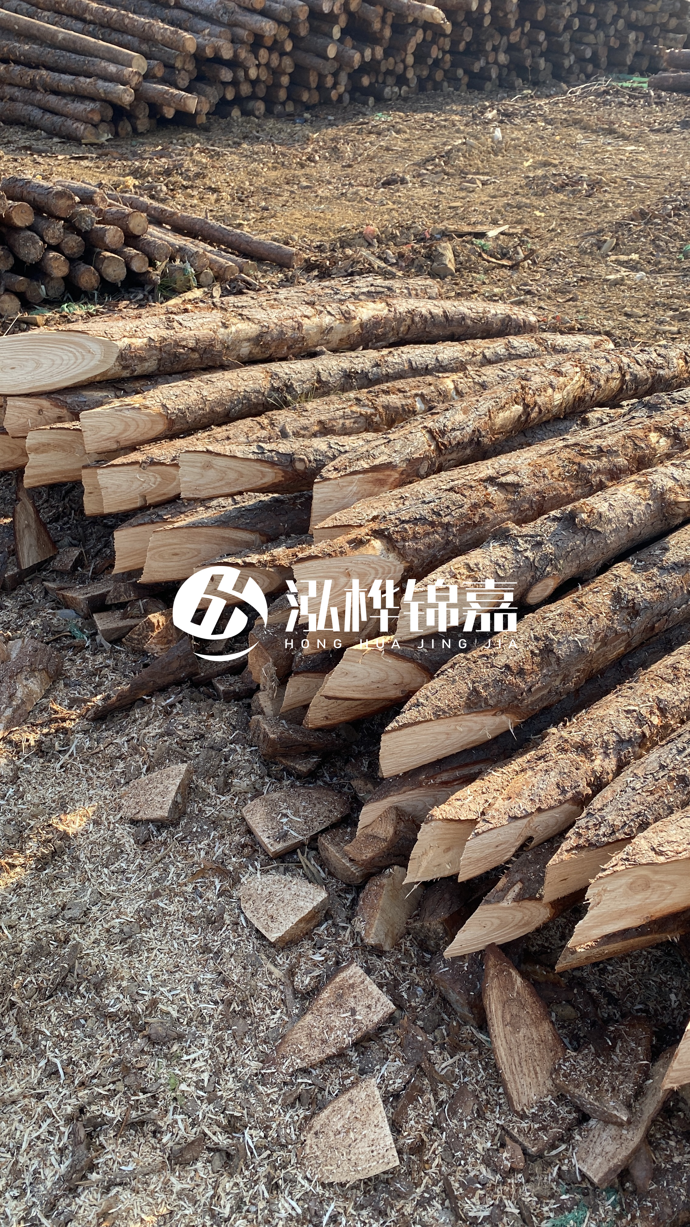 普洱松木樁源頭廠家-油松打樁木的抗壓強度是多少?