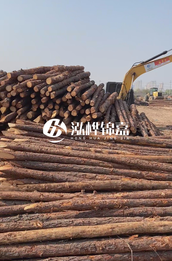 油松用于打樁木到底好不好?讓專業(yè)打樁隊(duì)告訴你!