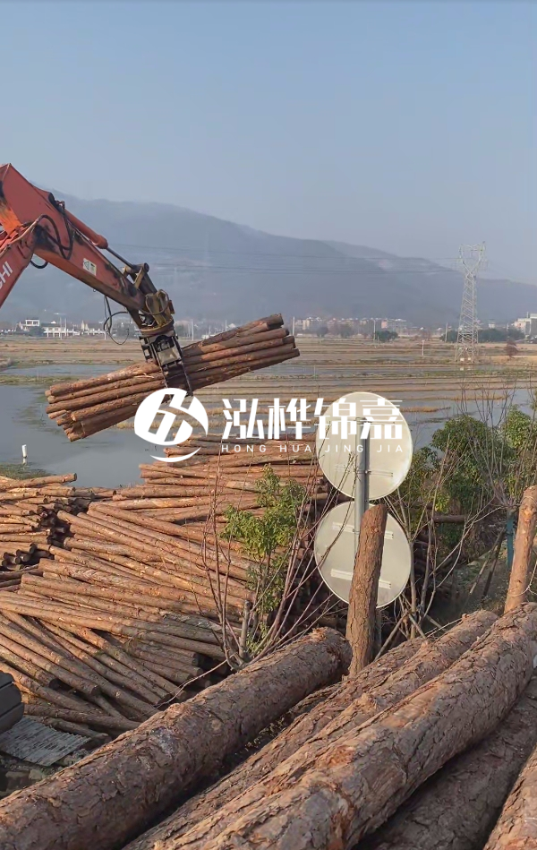 松木樁是否需要削皮呢?松木樁為什么不會爛掉呢?