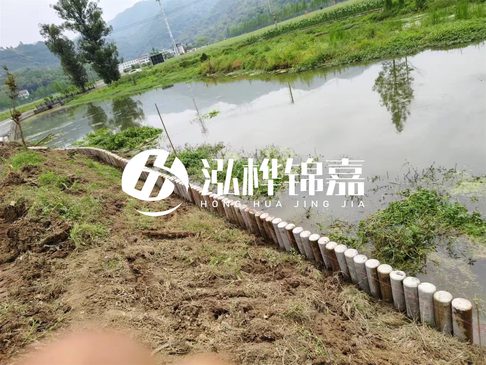 松木樁加固河道與水泥樁對比如何？哪一種更加適合您？