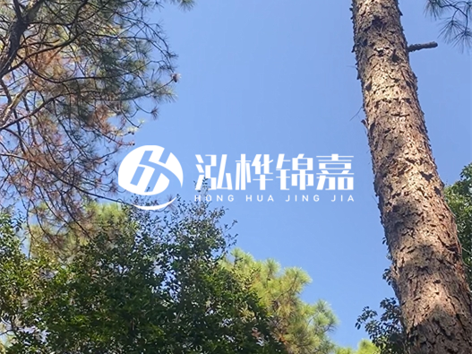 松木樁廠(chǎng)家泓樺錦嘉可以實(shí)地考察嗎?需要提前預(yù)約嗎?