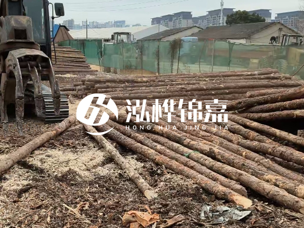 2 米長度松木樁多少錢?松木樁 10 一 15 公分價格?