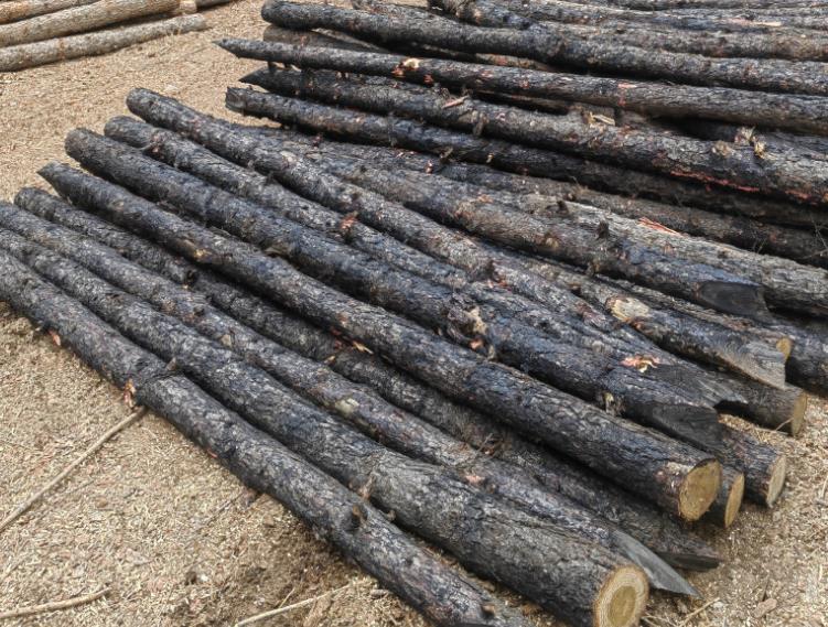 江蘇圍堰松木樁哪里有賣(mài)