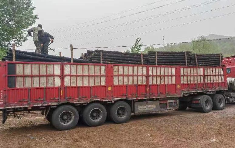 松木樁哪里買(mǎi)