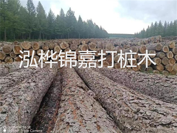 高效施工,圓松木樁助力建筑工程進展順利