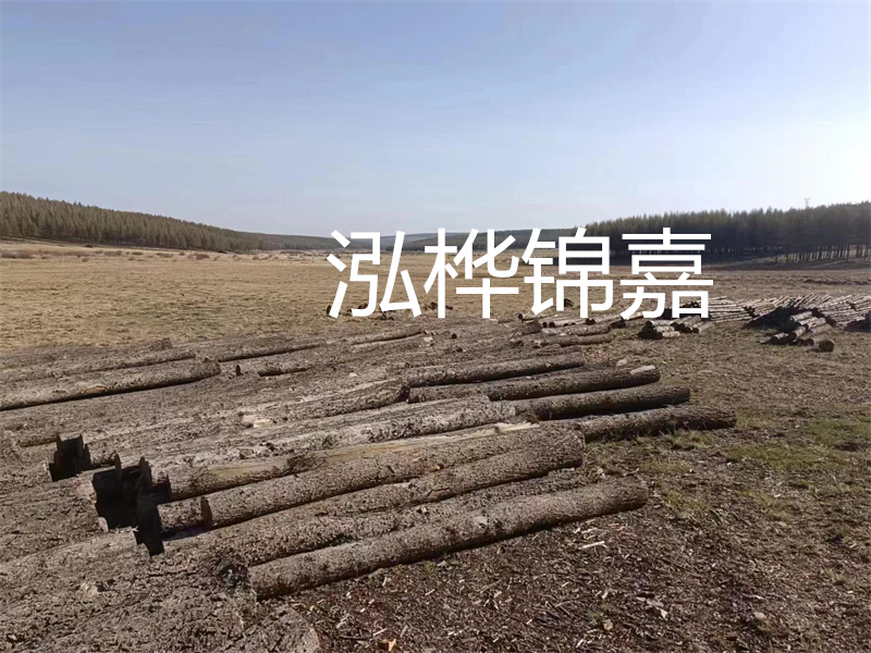 以質(zhì)量為導(dǎo)向,探索實用性與高效性——仿松木樁施工機械價格